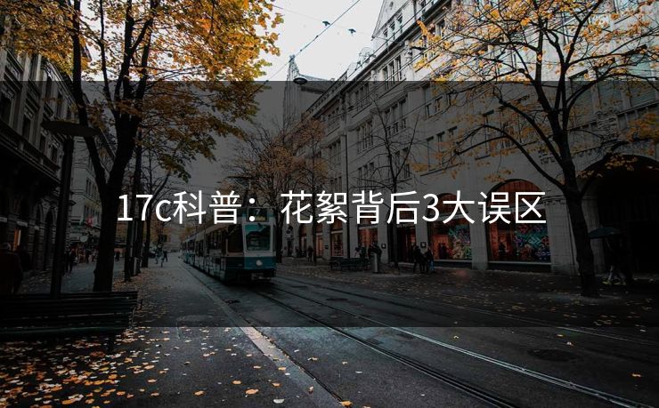 17c科普：花絮背后3大误区