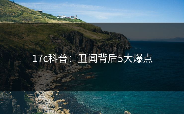 17c科普:丑闻背后5大爆点