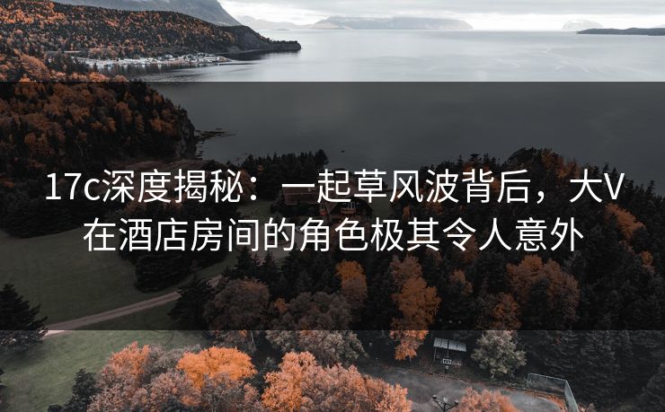 17c深度揭秘:一起草风波背后,大V在酒店房间的角色极其令人意外