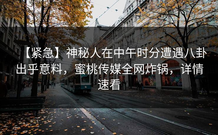 【紧急】神秘人在中午时分遭遇八卦出乎意料,蜜桃传媒全网炸锅,详情速看