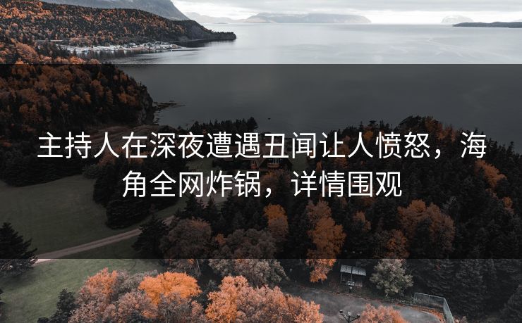 主持人在深夜遭遇丑闻让人愤怒,海角全网炸锅,详情围观