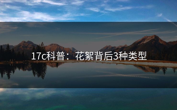 17c科普:花絮背后3种类型