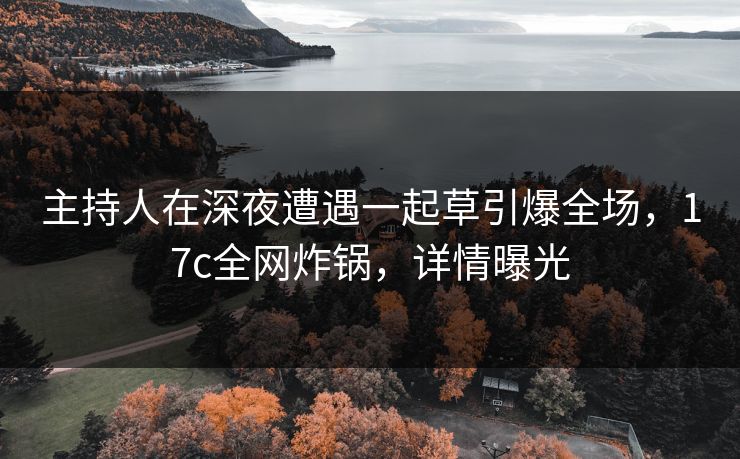 主持人在深夜遭遇一起草引爆全场，17c全网炸锅，详情曝光