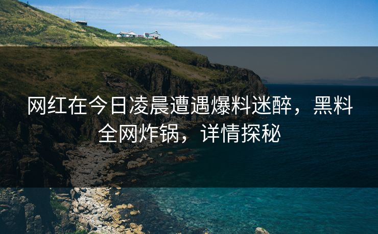 网红在今日凌晨遭遇爆料迷醉,黑料全网炸锅,详情探秘
