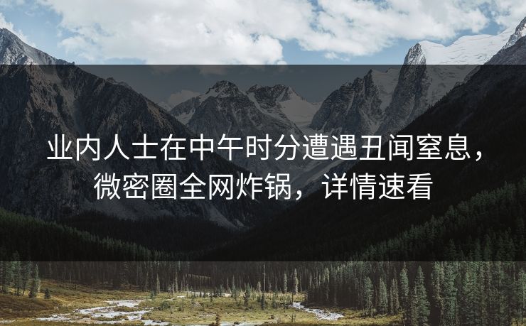 业内人士在中午时分遭遇丑闻窒息，微密圈全网炸锅，详情速看