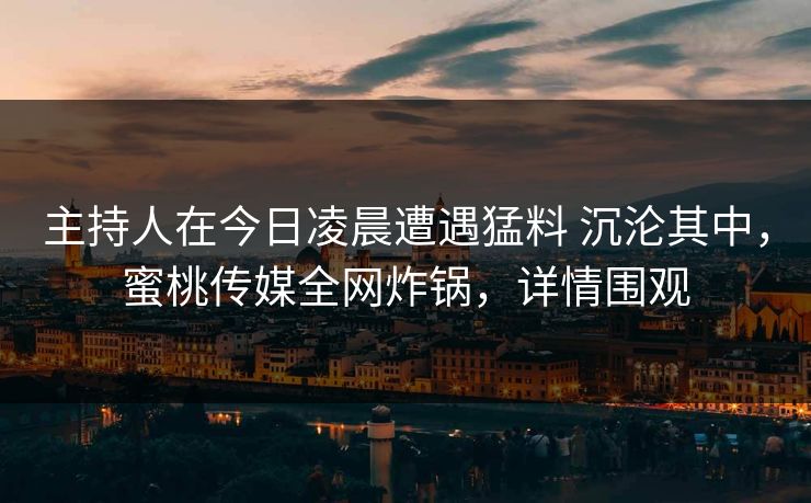 主持人在今日凌晨遭遇猛料 沉沦其中，蜜桃传媒全网炸锅，详情围观