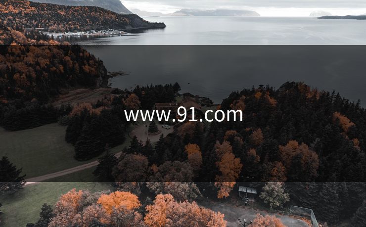 www.91.com