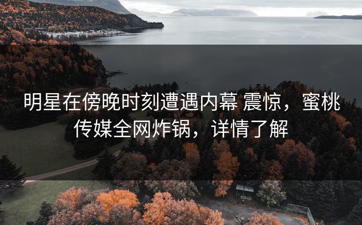 明星在傍晚时刻遭遇内幕 震惊,蜜桃传媒全网炸锅,详情了解