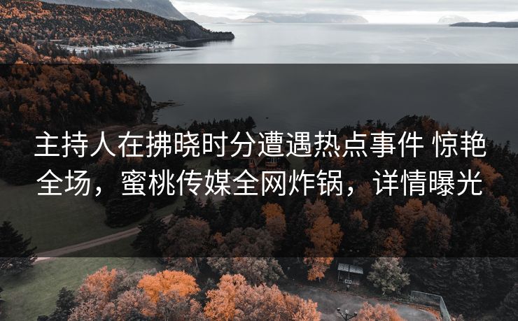 主持人在拂晓时分遭遇热点事件 惊艳全场，蜜桃传媒全网炸锅，详情曝光