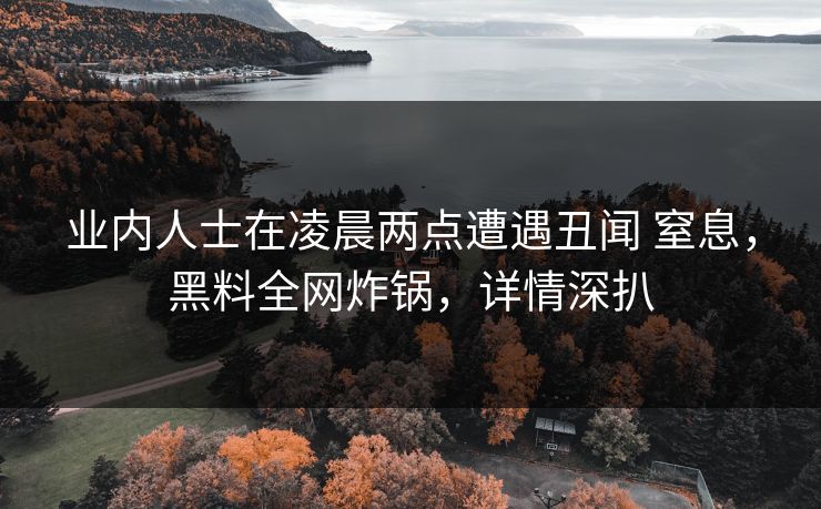 业内人士在凌晨两点遭遇丑闻 窒息，黑料全网炸锅，详情深扒