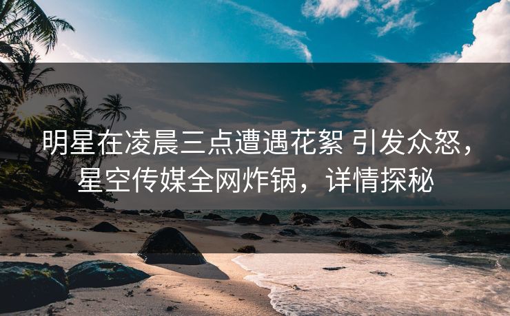 明星在凌晨三点遭遇花絮 引发众怒,星空传媒全网炸锅,详情探秘