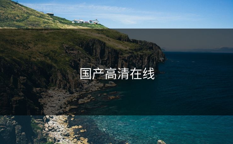 国产高清在线