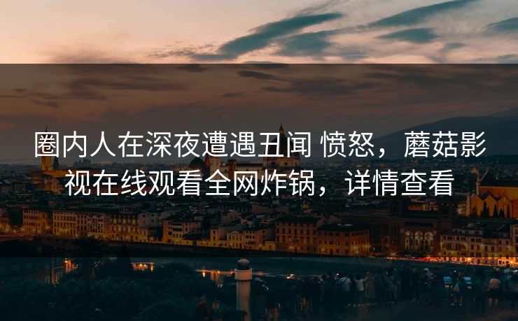 圈内人在深夜遭遇丑闻 愤怒，蘑菇影视在线观看全网炸锅，详情查看