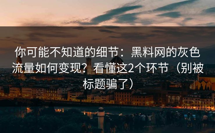 你可能不知道的细节:黑料网的灰色流量如何变现?看懂这2个环节(别被标题骗了) 第1张 你可能不知道的细节:黑料网的灰色流量如何变现?看懂这2个环节(别被标题骗了) 第1张