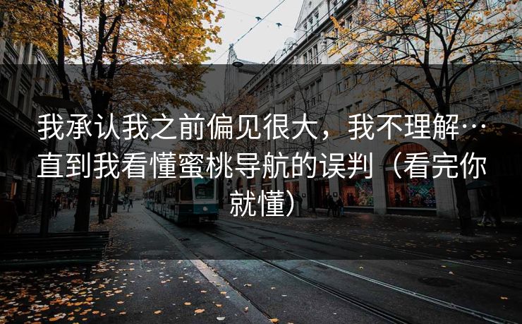 我承认我之前偏见很大，我不理解…直到我看懂蜜桃导航的误判（看完你就懂）