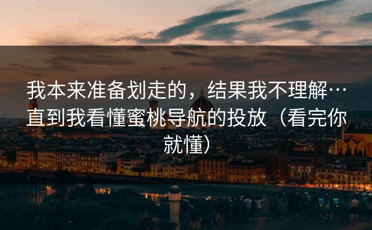 我本来准备划走的,结果我不理解…直到我看懂蜜桃导航的投放(看完你就懂)