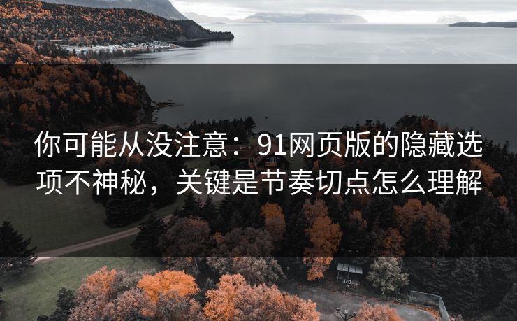 你可能从没注意:91网页版的隐藏选项不神秘,关键是节奏切点怎么理解